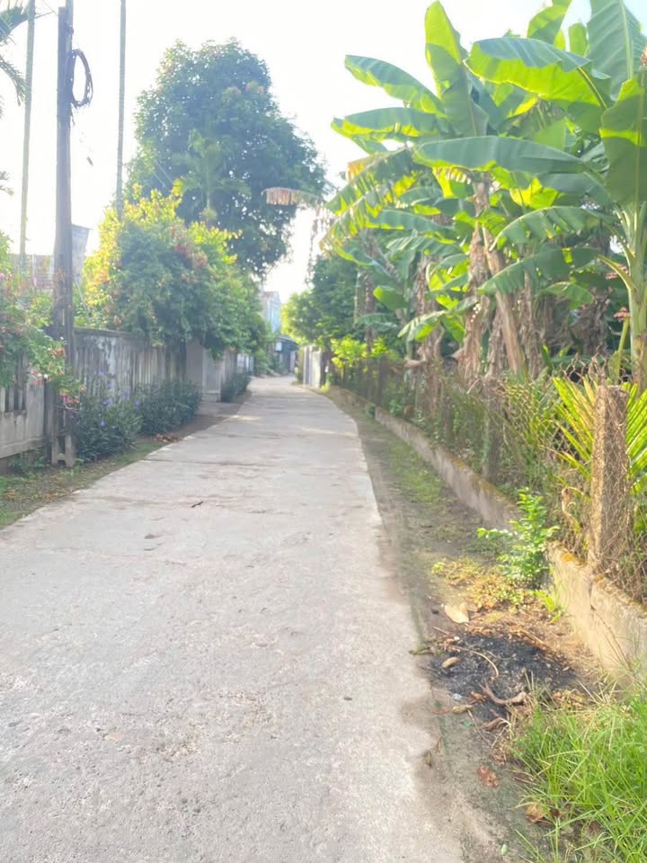 Đất nền Cộng Hòa 1, Quảng Ngãi 100m² giá 900 triệu - Cơ hội hiếm có cho nhà đầu tư!