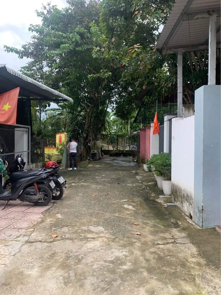 Đất Nghĩa Kỳ Tư Nghĩa 110m² giá 490 triệu - Đường ô tô tới nơi!