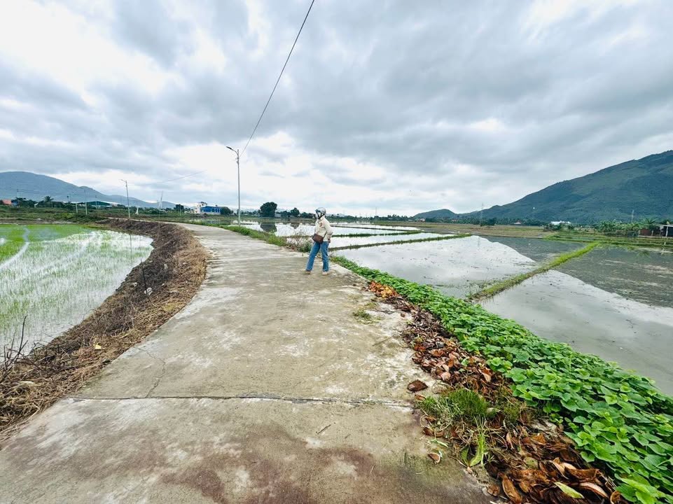 Đất Diên Toàn, Diên Khánh 176m² giá chỉ 2.1 tỷ - Cơ hội đầu tư hấp dẫn!