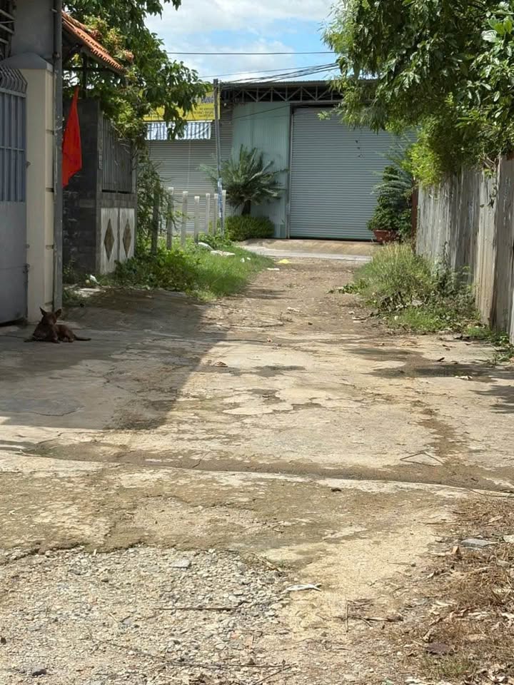 Đất nền Vĩnh Trung Nha Trang 217m² giá 2.798 tỷ - Đường rộng, vị trí đắc địa!