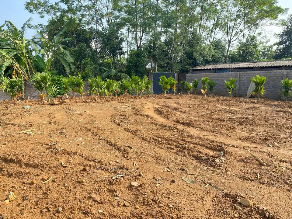 Đất nền Nhuận Trạch 900m² giá thỏa thuận - Cơ hội đầu tư hấp dẫn!