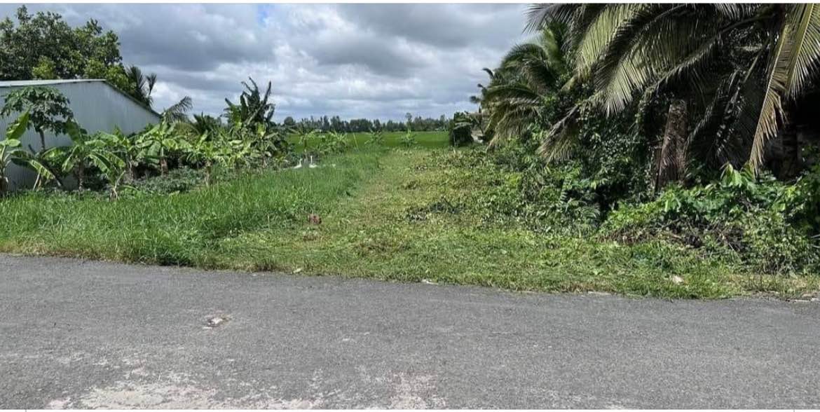 Đất nền Nguyễn Văn Thảnh, Bình Tân, Vĩnh Long 205m² - Giá chỉ 370 triệu