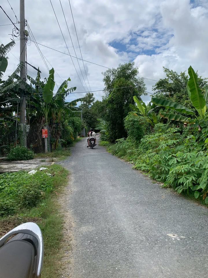 Đất lúa 5575m² tại Mỹ Hòa, Long Xuyên, An Giang - Giá chỉ 6 tỷ!