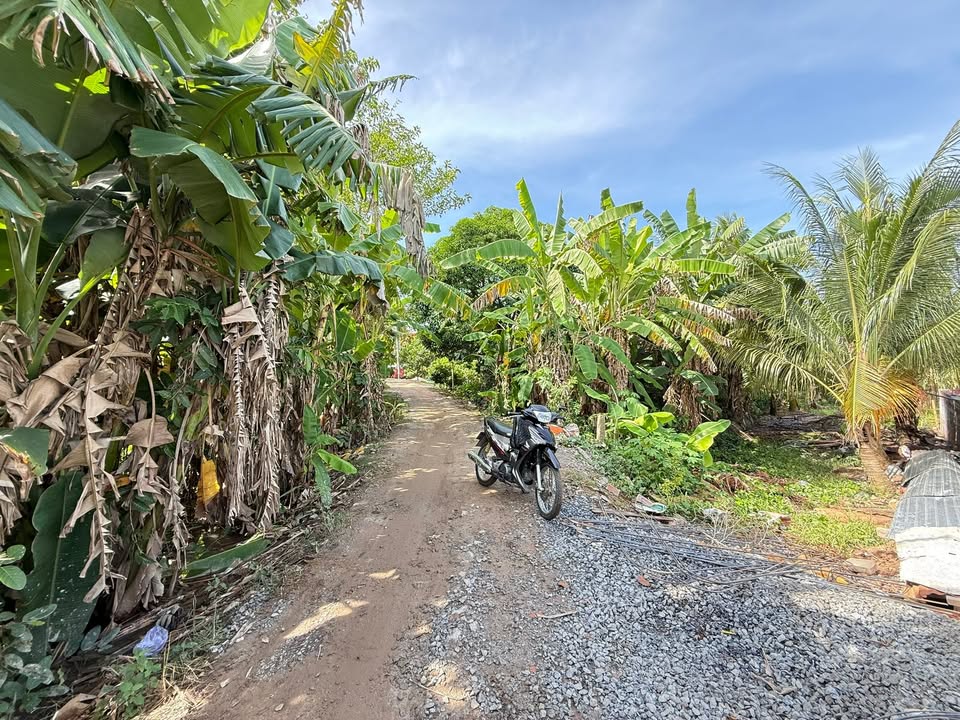 Đất nền xã Bình Hoà, Châu Thành, An Giang 180m² giá 500 triệu - Gần chợ Hoà Bình Thạnh!