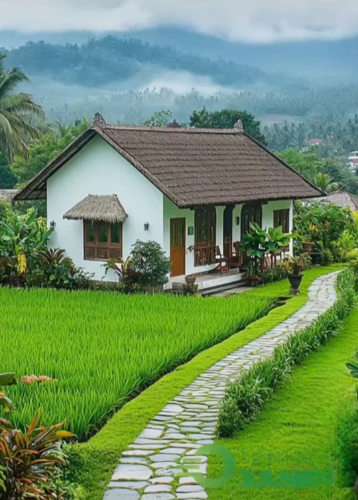 Đất nền Đồng Vương Yên Thế 140m² giá chỉ 500 triệu - Đầu tư hấp dẫn!