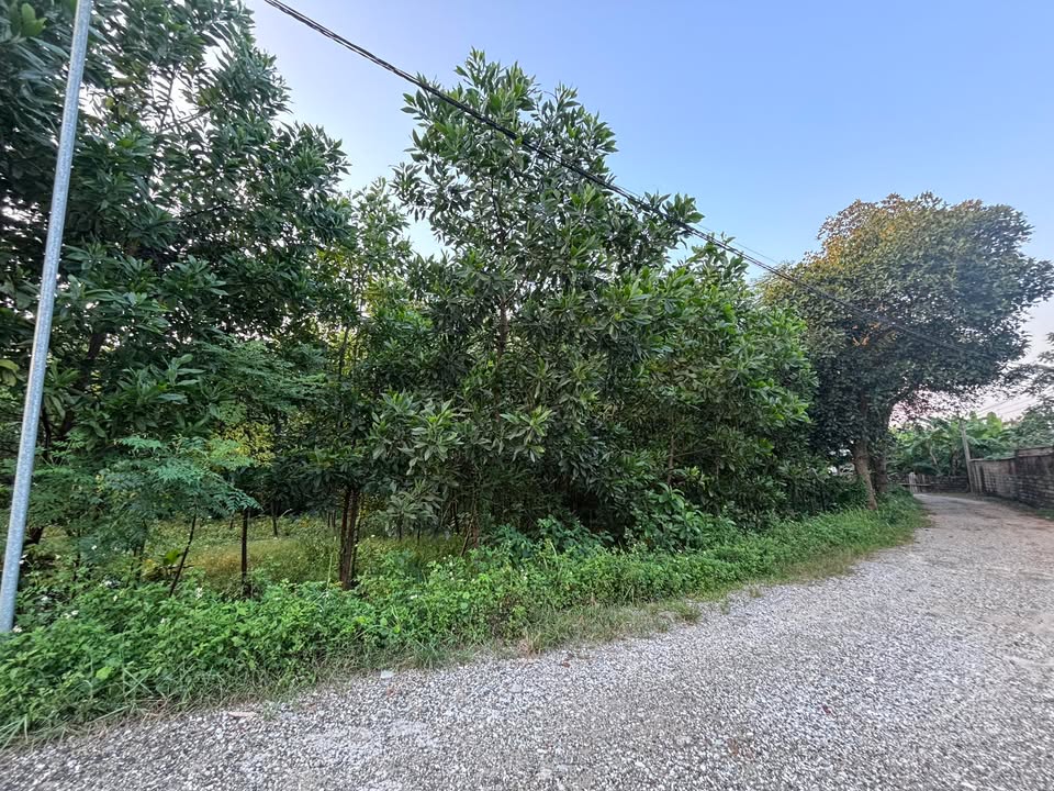 Đất vàng Thái Nguyên 1200m² giá chỉ 8.4 tỷ - Không ngập lụt, đầu tư sinh lời!