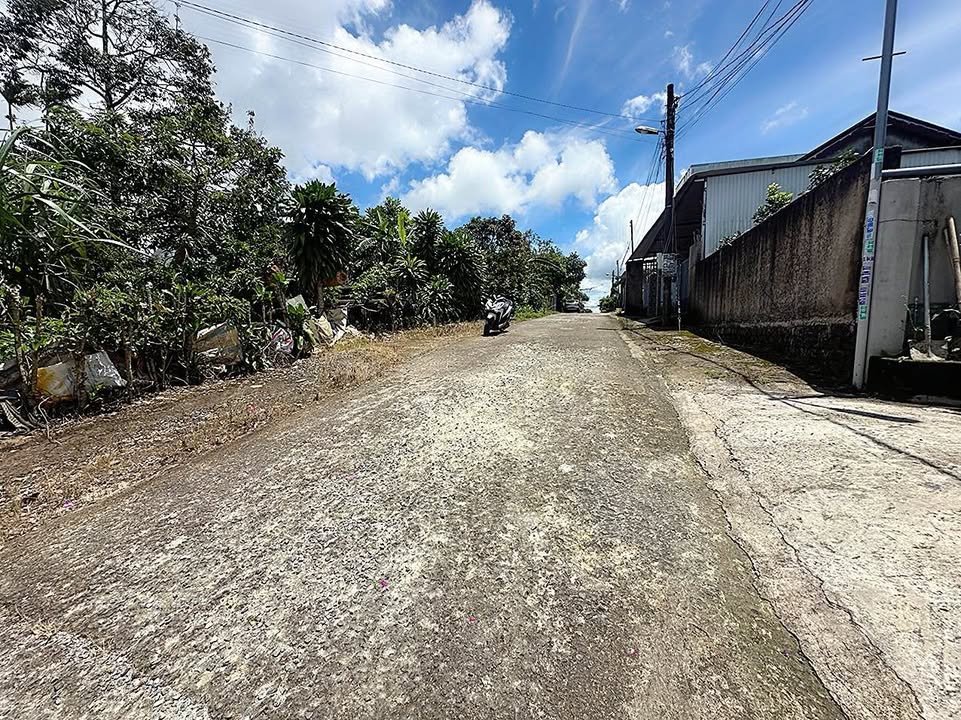 Đất nền Bùi Thị Xuân Đà Lạt 119m² giá 2.75 tỷ - Pháp lý rõ ràng