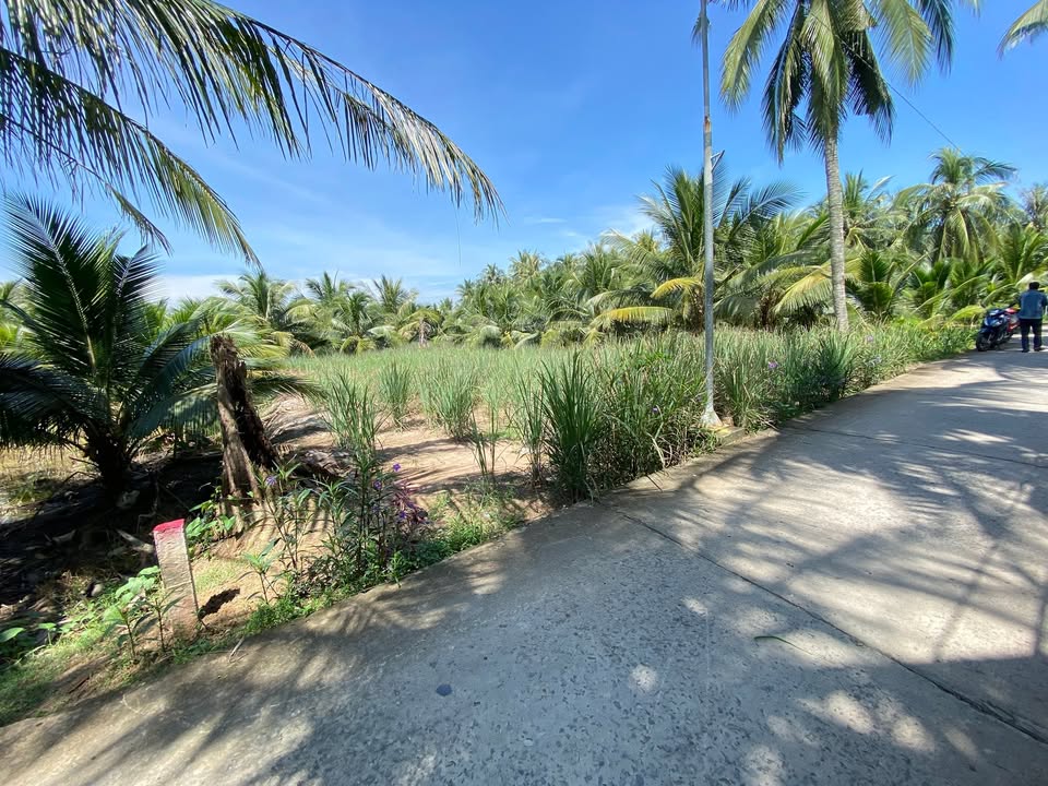 Đất nền Tân Thới 987m² giá 760 triệu - Cơ hội đầu tư hấp dẫn!