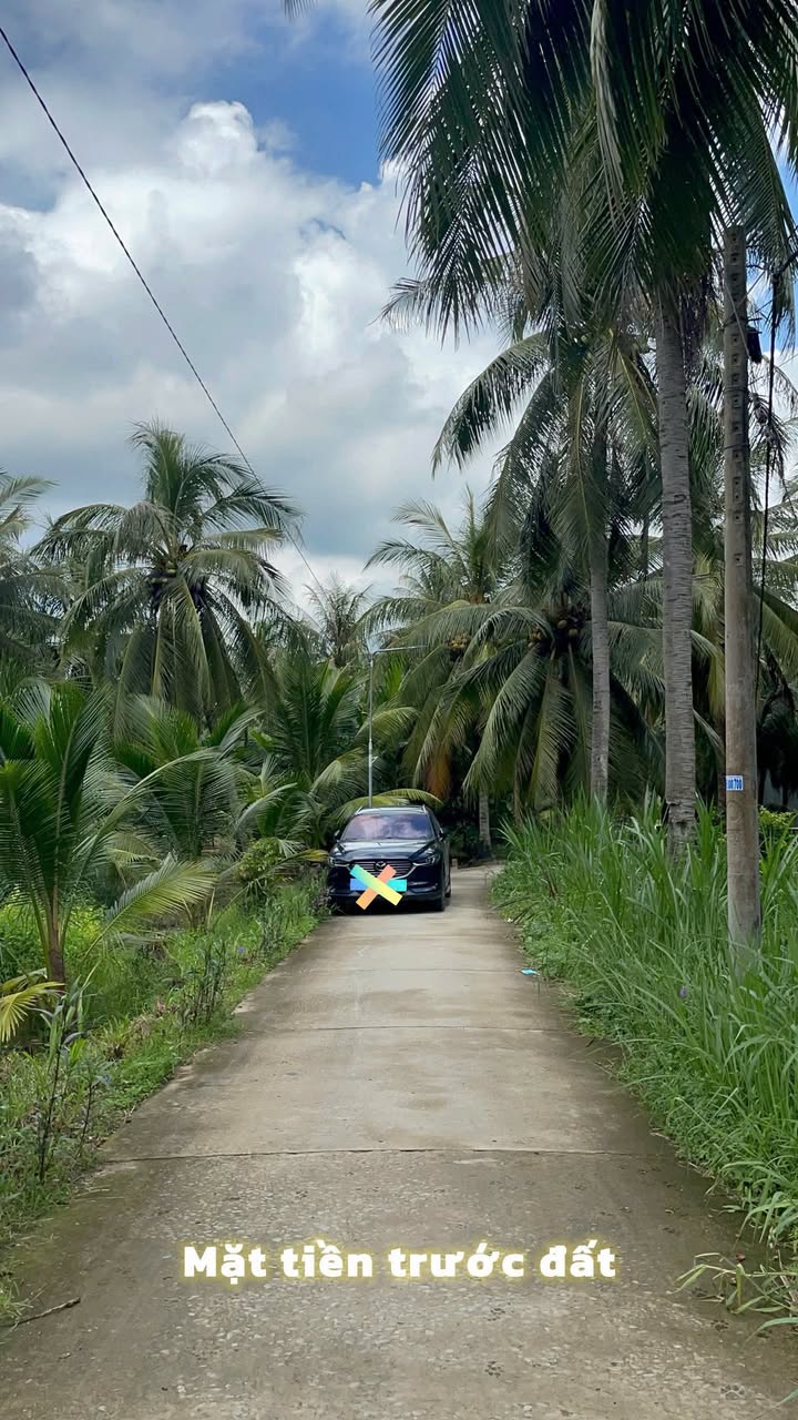 Đất nền vườn dừa xiêm Tân Phú Đông 320m² giá 320 triệu - Đầu tư sinh lời tuyệt vời!