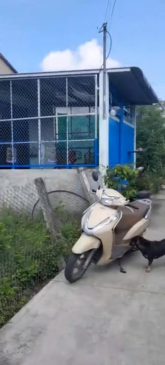 Đất nền Tân Mỹ Chánh, Mỹ Tho 80m² giá 550 triệu - Cơ hội đầu tư tuyệt vời!