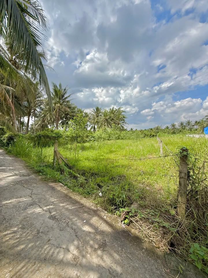 Đất nền 750m² gần Một Quang, TP Mỹ Tho – Giá 2.4 tỷ, hướng Đông mát mẻ!