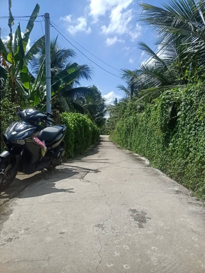 Đất nền khu phố Bình Phong, Mỹ Phong, 250m² - Giá chỉ 799 triệu, thương lượng!