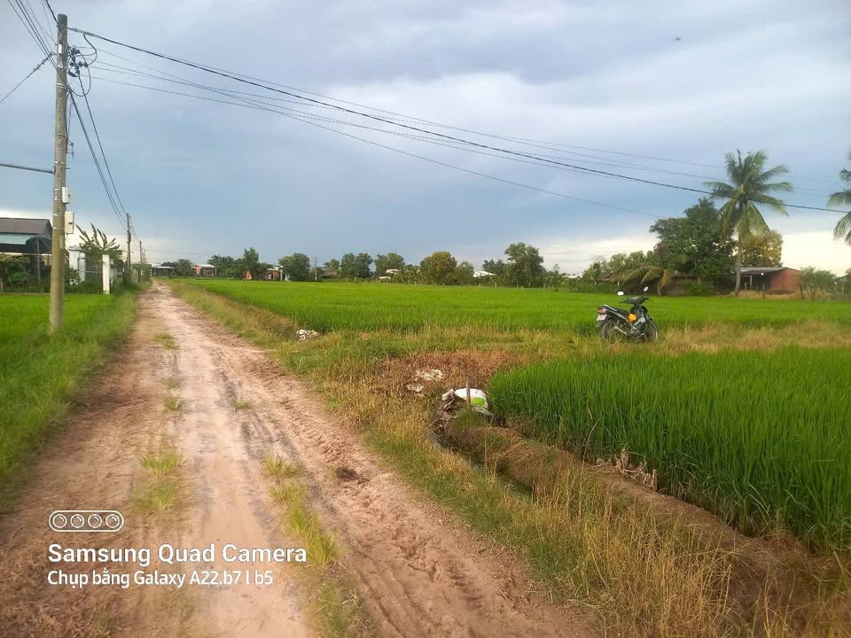 Đất 2 mặt tiền đường Ruộng, xã An Cơ, Tây Ninh 50.000m² - Giá chỉ 1.25 tỷ!