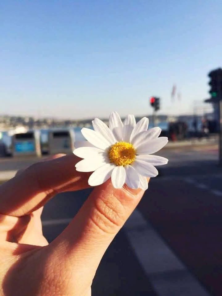 Đất thổ cư Đông Sơn, Chương Mỹ 552m² - Cơ hội đầu tư tuyệt vời!