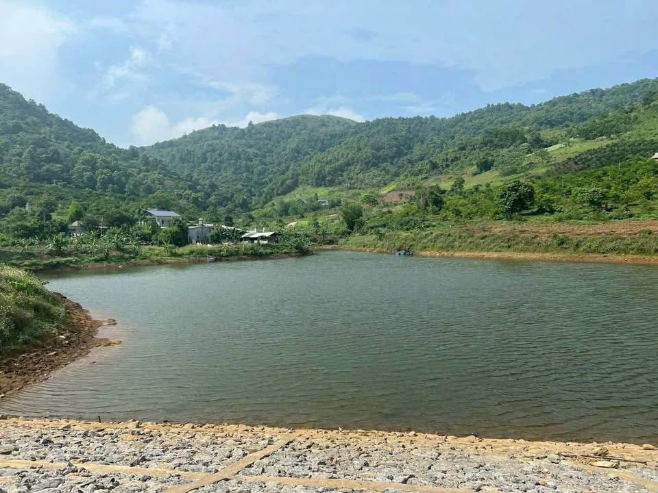 Đất thổ cư Hợp Phong, Cao Phong, Hòa Bình 4430m² - Vị trí đẹp, view hồ thoáng mát!