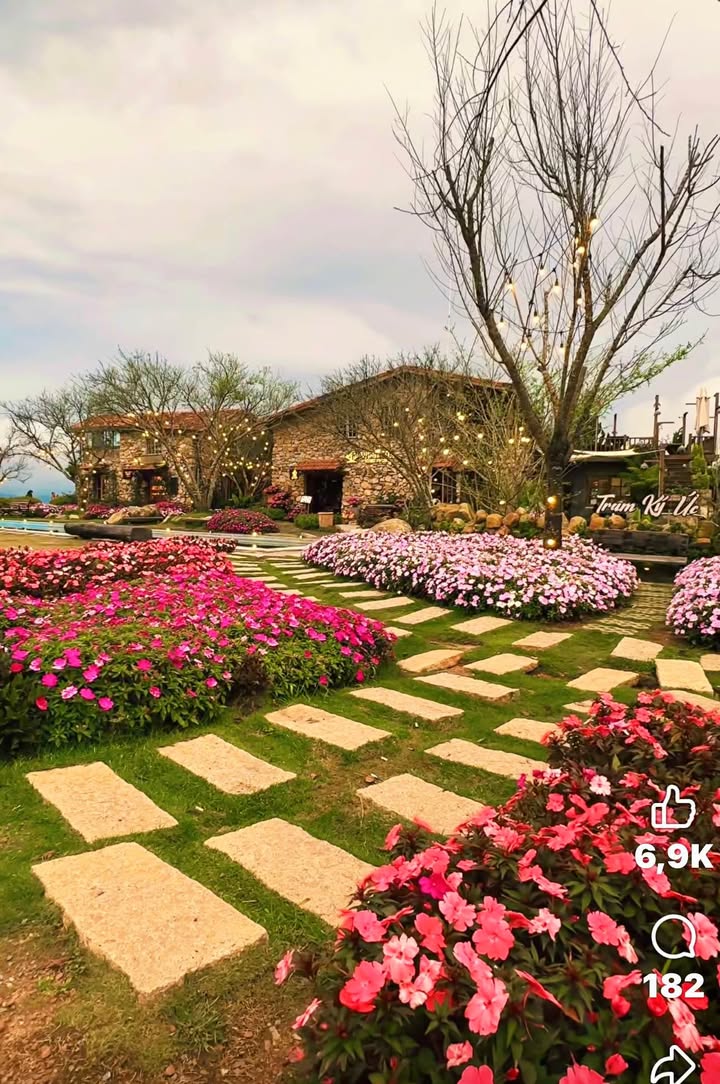 FrontHouse mặt tiền đường 104 TNP A, Quận 9, 300m² - Dòng tiền 90 triệu/tháng!