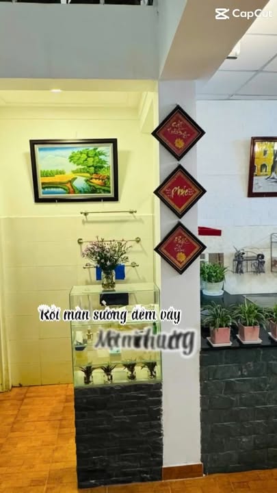 Nhà phố Bảo Lộc 150m² giá 4.9 tỷ - Cơ hội sở hữu không gian sống lý tưởng!