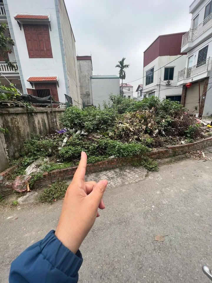 Đất Nền Ninh Xá, Thuận Thành 50m² giá 1.3 tỷ - Cơ hội đầu tư tuyệt vời!