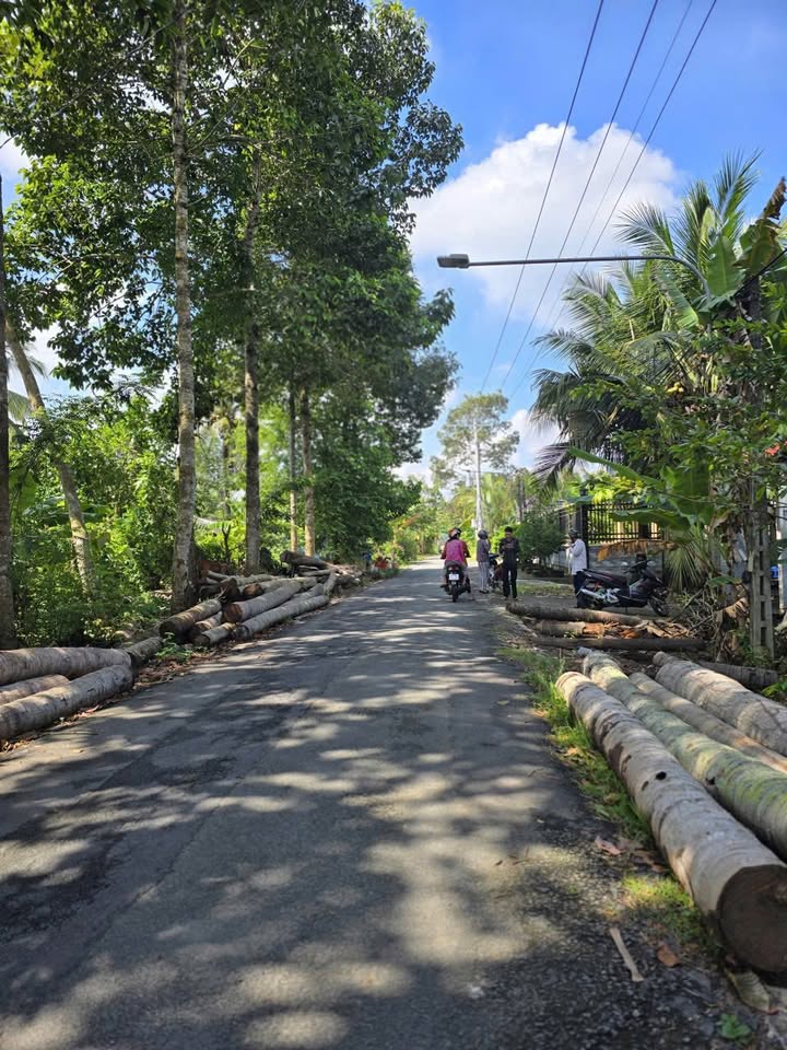 Đất mặt tiền Nhơn Thạnh, Bến Tre 1000m² - Đầu tư sinh lời ngay!