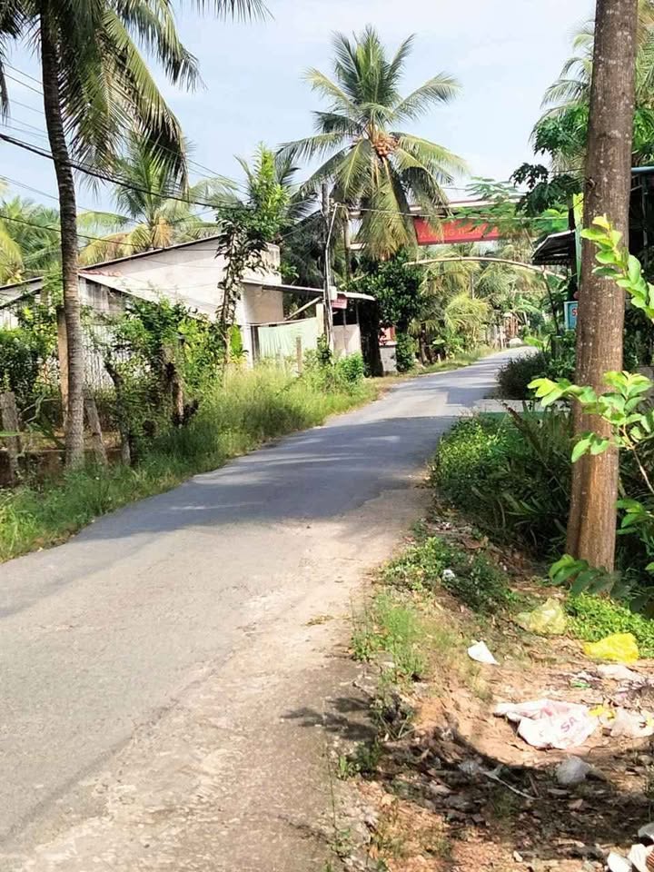 Đất Phước Mỹ Trung Mỏ Cày Bắc 782m² giá 2 tỷ - Đầu tư sinh lời ngay!