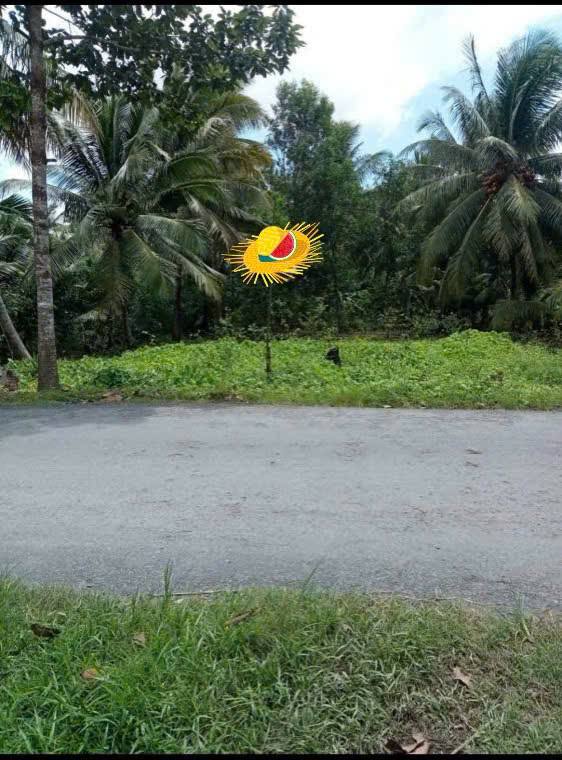 Đất mặt tiền Sơn Phú 966m² giá 3 tỷ - Cơ hội đầu tư tuyệt vời!