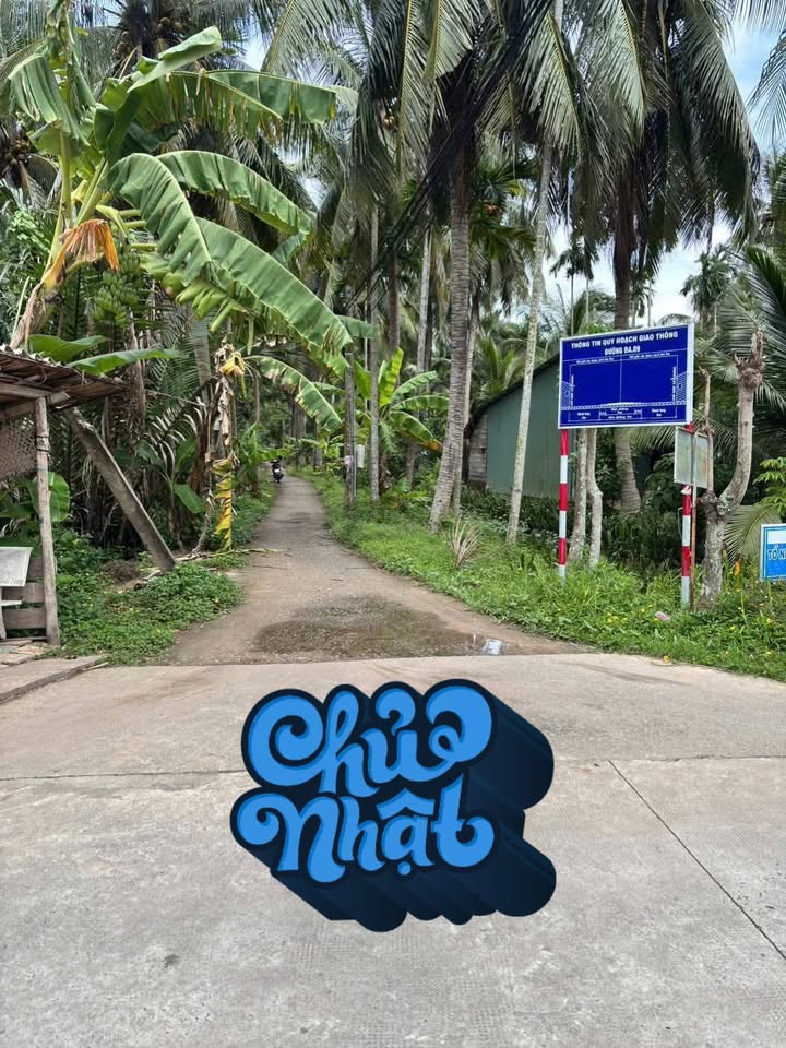 Đất thổ cư 1000m² tại Ấp Cái Tắc, Giồng Trôm chỉ 350 triệu - Cơ hội đầu tư hấp dẫn!