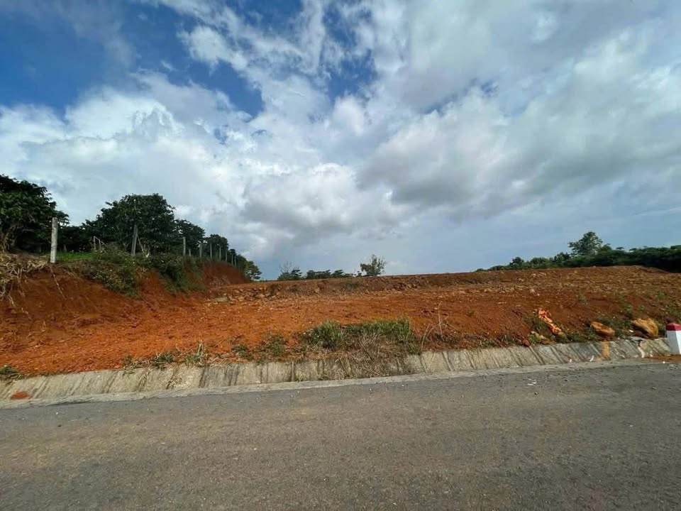 Đất nền Bảo Lộc 540m² giá 1.6 tỷ - Mặt tiền Nguyễn Tri Phương nối dài