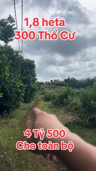 Đất thổ cư 300m² 18.000m² tại Phú Tân, Định Quán - Giá 4.5 tỷ, view suối đẹp