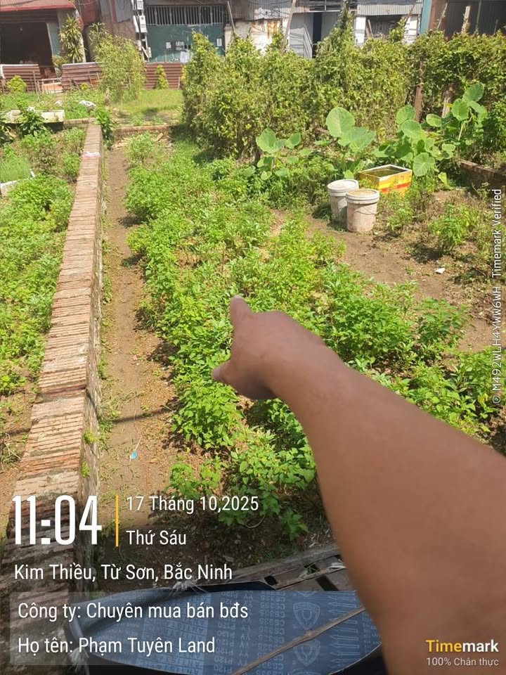 Đất nền Hương Mạc, Từ Sơn, Bắc Ninh 60m² giá 1.2 tỷ - Cơ hội đầu tư tuyệt vời!