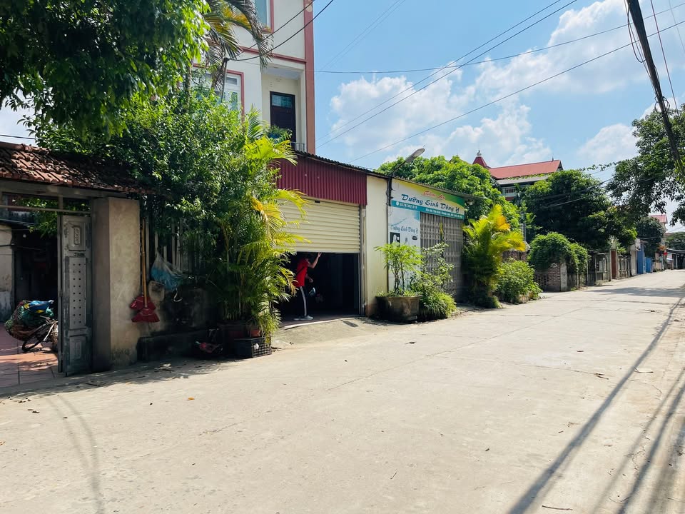 Đất nền 99m² tại Yên Vinh, Mê Linh - Sổ đỏ chính chủ, giá siêu tốt!