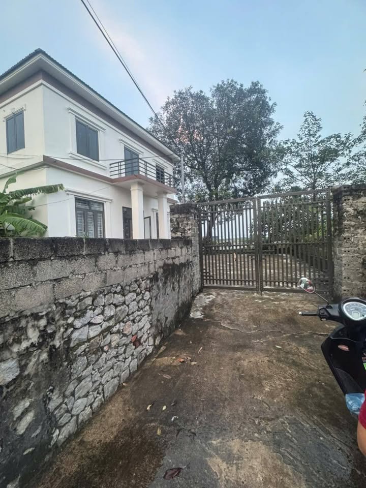 Đất nền Gia Tường Nho Quan 300m² - Giá thỏa thuận, vị trí đắc địa!