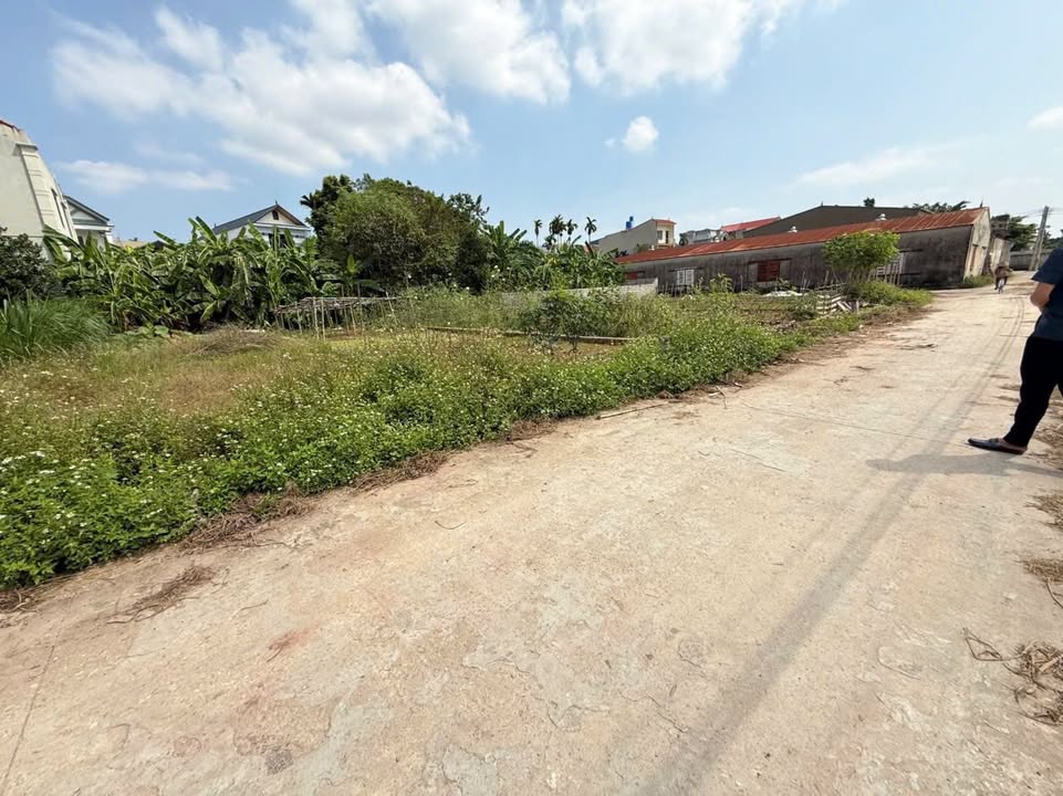 Bán đất đấu giá xã Xuy Xá, huyện Mỹ Đức - Diện tích 107m² - Sổ đỏ từng lô