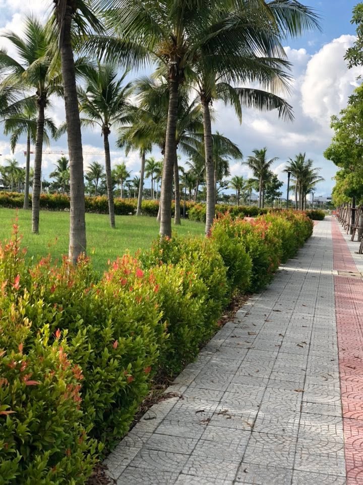 Bán đất nền biệt thự nghỉ dưỡng Đà Nẵng 150m² giá 15.449 tỷ - Không gian sống lý tưởng!