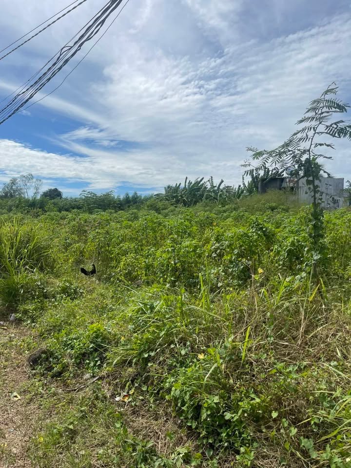 Đất thổ cư xã Bàu Cạn, Long Thành 354m² giá 2.65 tỷ - Cơ hội đầu tư tuyệt vời!