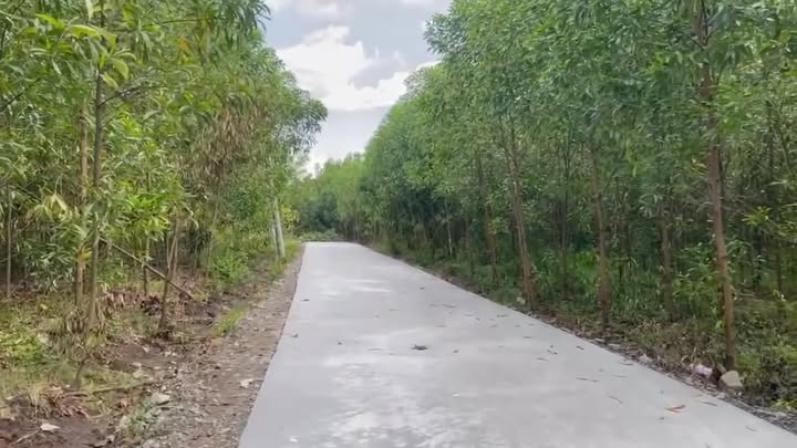 Đất nền 1900m² tại xã Xuân Thành - Sổ hồng trao tay giá thỏa thuận