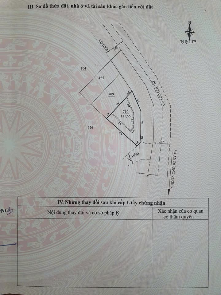 Nhà mặt tiền Cổ Loa, Đà Lạt 111m² giá 13 tỷ - Kinh doanh siêu lợi nhuận!