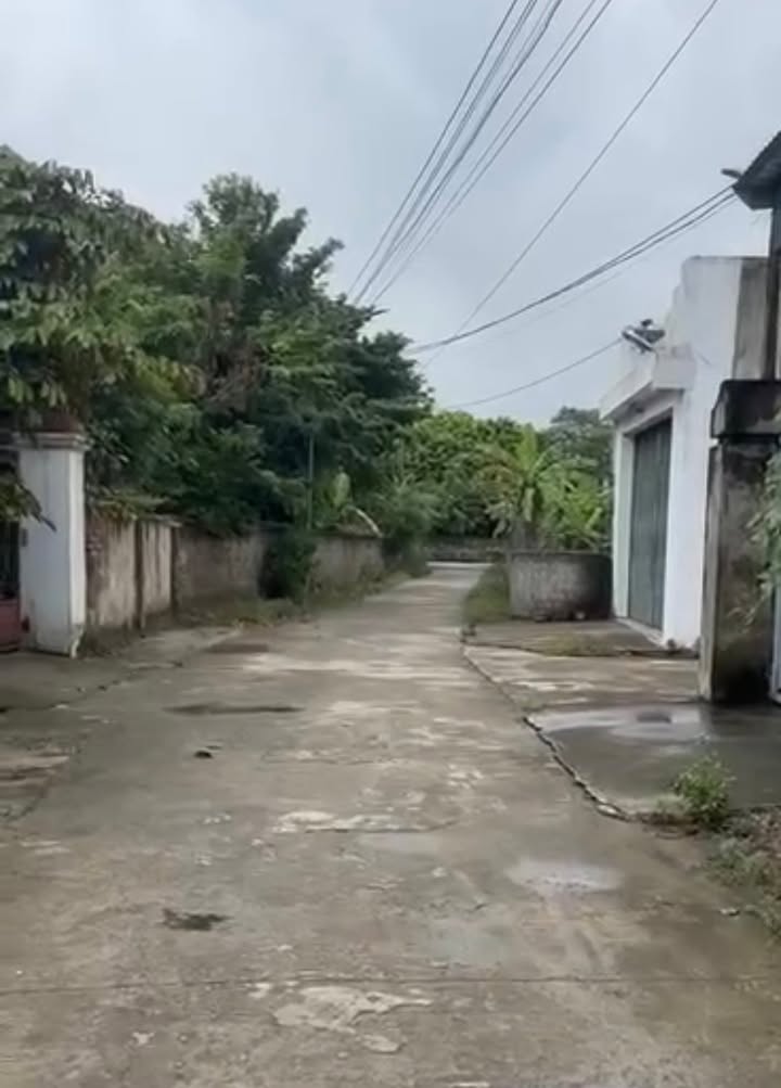 Đất thổ cư 231m² tại Lạng Uyển, Nho Quan - Gần nhà văn hóa, giá thỏa thuận!