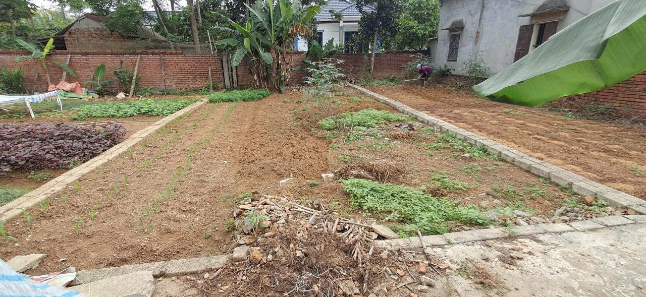 Đất nền Lại Thượng 94m² giá 1.3 tỷ - Đường ô tô vào tận nơi!