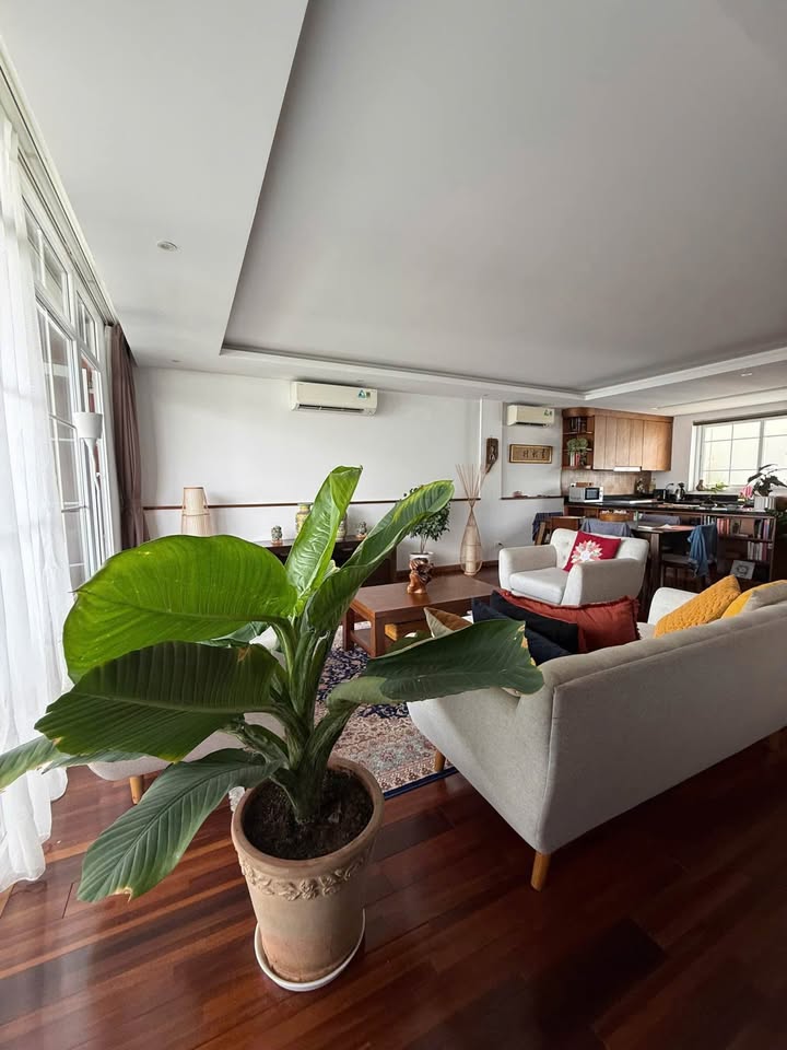 Tòa nhà 8 tầng phố Từ Hoa, Tây Hồ 176m² giá 100 tỷ - Dòng tiền khủng!