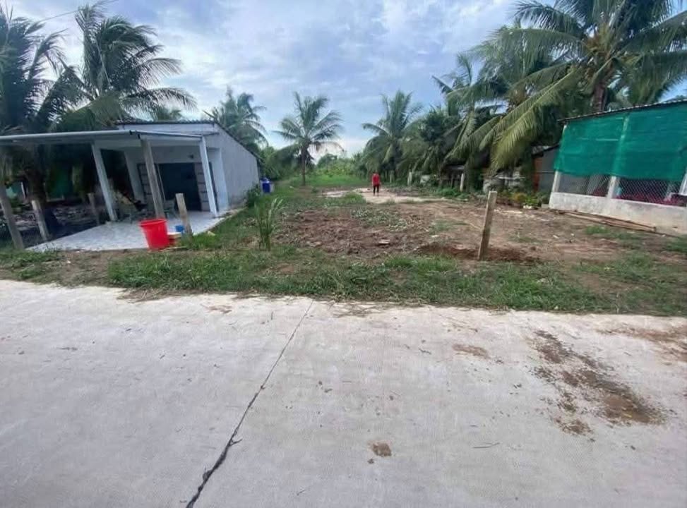 Đất mặt tiền xã Mỹ Thạnh, Ba Tri, Bến Tre 659m² giá chỉ 400 triệu - Cơ hội đầu tư tuyệt vời!