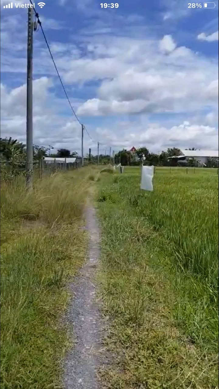 Đất vườn Củ Chi 610m² giá 1.3 tỷ - Mặt tiền đường xe hơi thuận lợi!