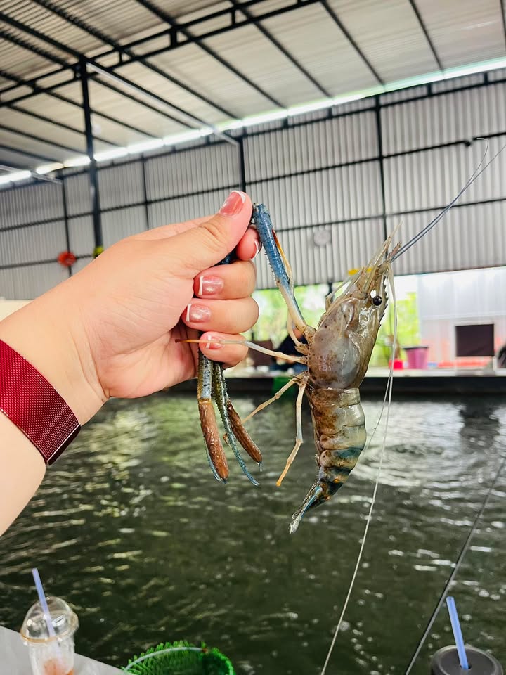 Đất nền tại xã Ngọc Định, Định Quán 1068m² giá chỉ 330 triệu - Sổ hồng riêng, đầu tư sinh lời!