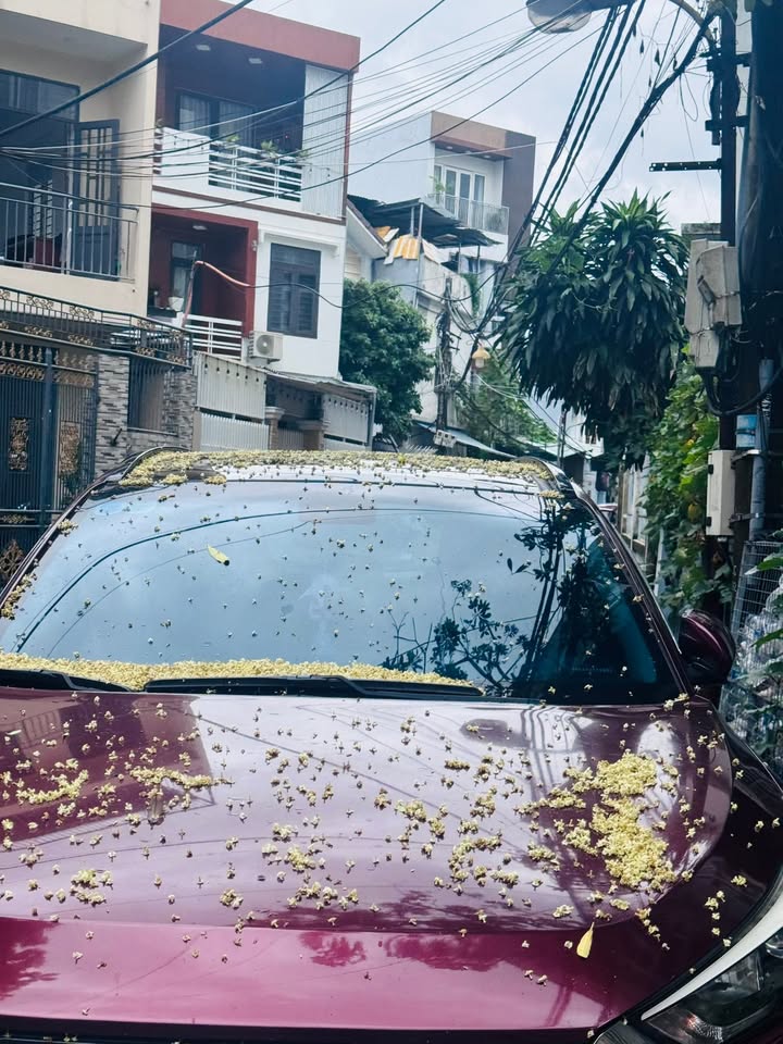 Căn hộ 4 tầng đường Phan Khoang, Cẩm Lệ 130m² giá 10.9 tỷ - Doanh thu 50 triệu/tháng!