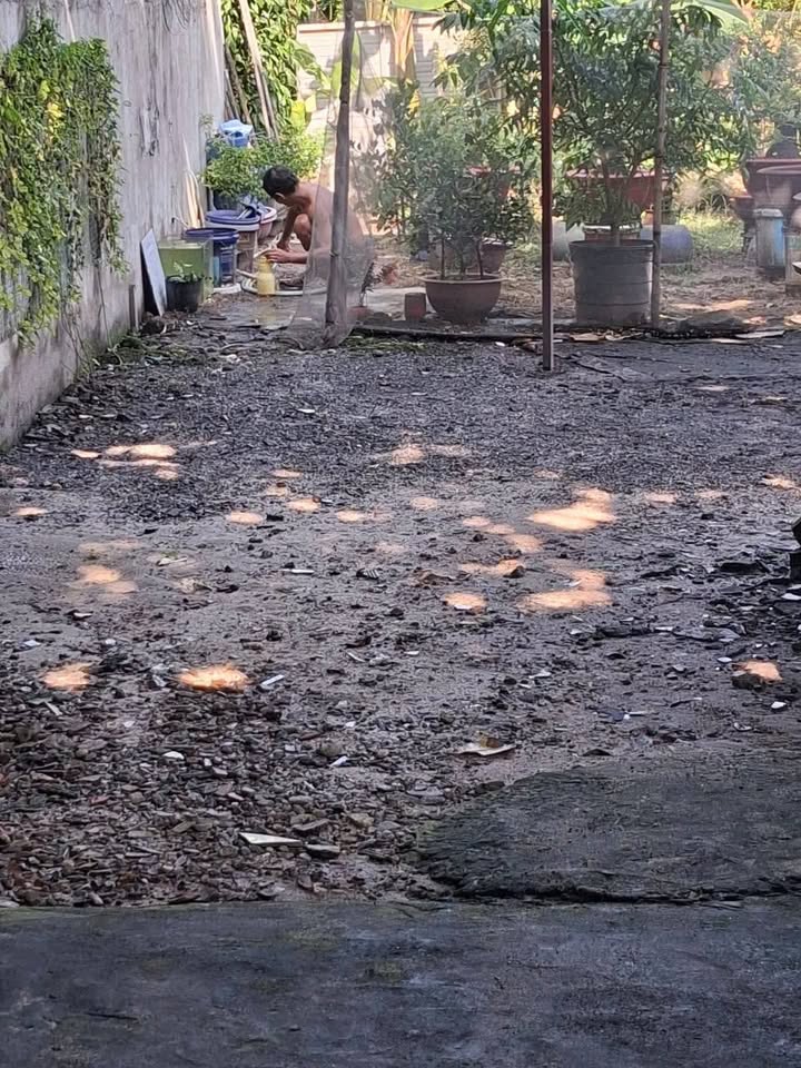 Đất nền ấp 6, xã Đông Thạnh, Hóc Môn - 100m² chỉ 1.65 tỷ - Sổ đỏ riêng