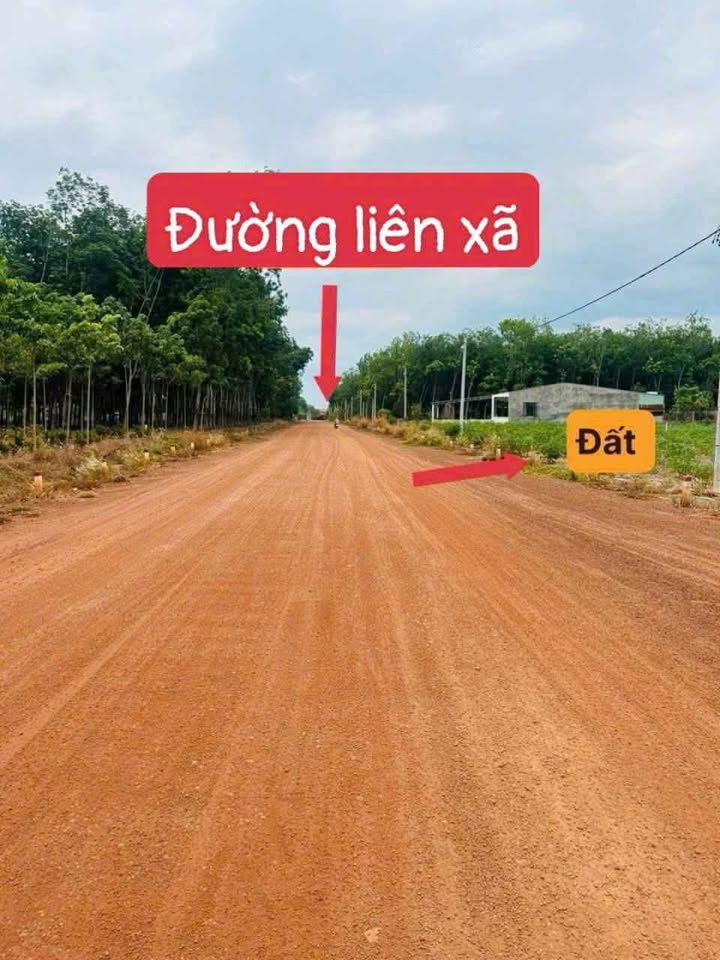 Đất nền Đồng Phú 1005m² giá 150 triệu - Đầu tư sinh lời ngay!