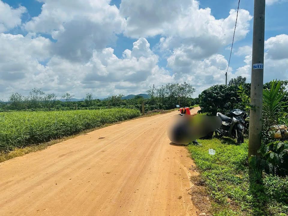 Đất nền Tân An Hội 145m² giá 400 triệu - Sổ hồng chính chủ!