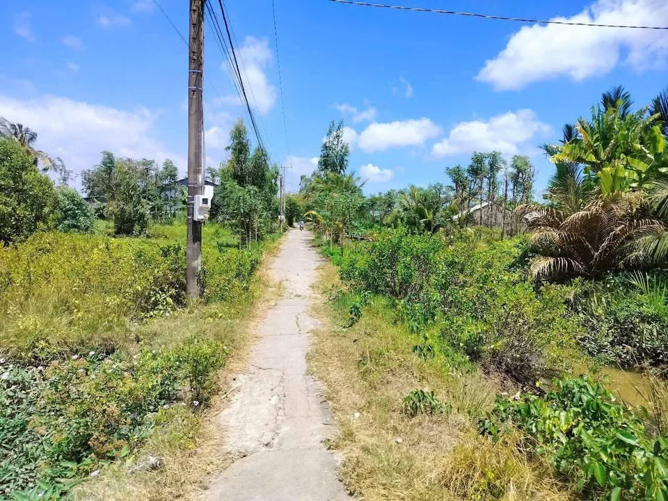 Đất mặt tiền lộ Đal 8.500m² giá 700 triệu - Đầu tư sinh lời ngay!