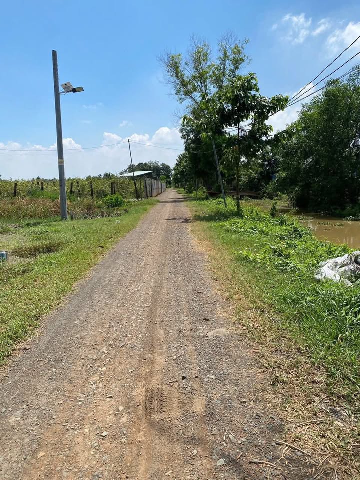 Đất thổ cư 150m² mặt tiền đường Kênh Đại Hội - Giá 1.15 tỷ, thương lượng nhẹ!