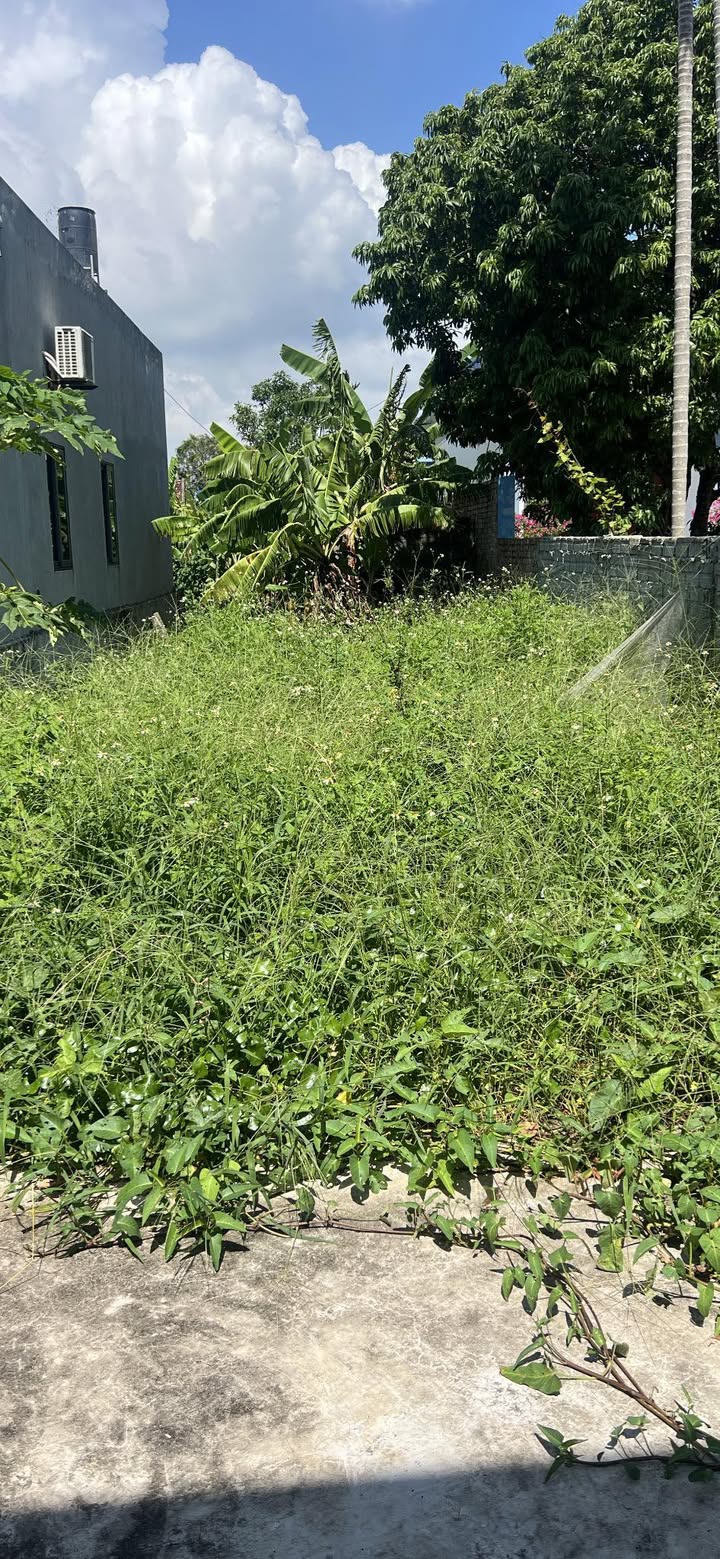 Đất nền Rạng Đông, Nghĩa Hưng 185m² giá 900 triệu - Sổ đỏ chính chủ, ô tô vào tận nơi!