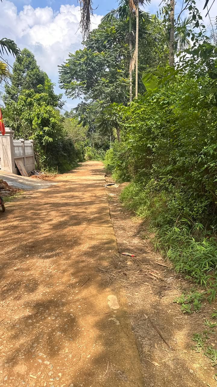 Đất nền Lạc Sơn 2000m² giá chỉ 800 triệu - Sổ hồng chính chủ, giao dịch nhanh chóng!